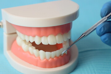 Simulated mouth beeing cleaned by a dentist wearing gloves with an excavator 