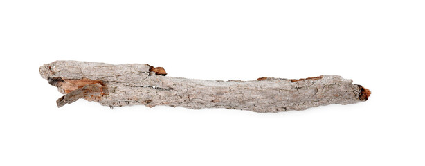 One piece of tree bark isolated on white, top view
