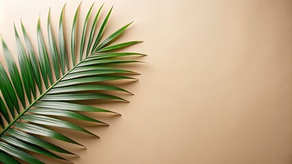 Chic beige background with palm leaves, designed to enhance product displays for cosmetics and branding, offering a fresh and inviting visual appeal for marketing.
