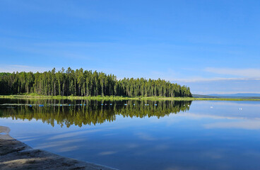 Nature waterscape of a tree area along the lakeshore reflected in the calm smooth water of a lake with a clear blue sky.