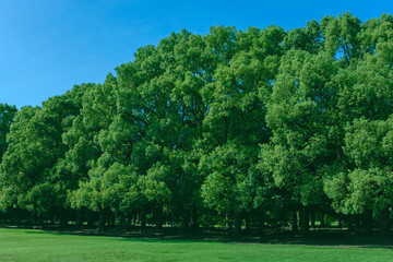 Green Park