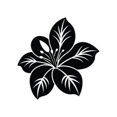 A stunning black vector illustration of a Hawaiian flower, perfect for various design projects.