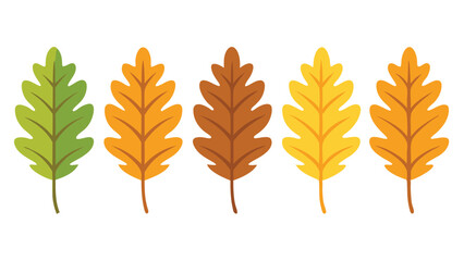 Oak leaves set isolated flat vector illustration on white background.