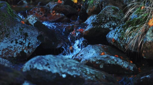 紅葉の栗駒山の沢の清流
