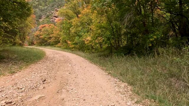 Mountain dirt trail valley autumn color POV 1. Driving dirt road mountain sport utility vehicle, SxS. Autumn fall season. Utah POV. Sport and recreation. Fun and adventure riding in central Utah.