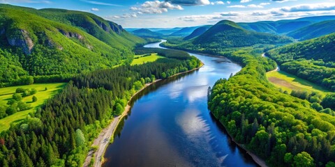 Fototapeta premium Aerial view of The Malbaie River surrounded by lush greenery in Quebec, Canada , Canada, Quebec, Malbaie River, aerial view