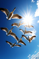 Obraz premium Birds flying against a bright blue sky
