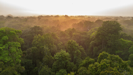 AERIAL PHOTOS OF THE NANAY RIVER IN THE PERUVIAN AMAZON, IGAPOS OR BLACK WATER RIVERS OF THE...
