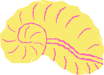 Obraz premium Sea Shell Illustration