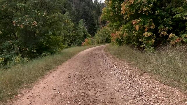 Mountain windy dirt trail valley autumn POV. Driving dirt road mountain sport utility vehicle, SxS. Autumn fall season. Utah POV. Sport and recreation. Fun and adventure riding in central Utah.
