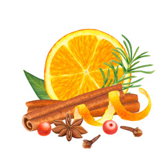 Slice of orange fruit with leaves, cinnamon, berries, citrus peel, clove and star anise, rosemary or spruce, pine. Healthy organic ingredients for baking and drinks. Hand drawn watercolor illustration