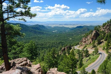 Fototapeta premium Scenic overlook with a road winding through pine forest below, panoramic beauty