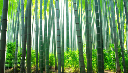 The serene bamboo forest meets the warm sunshine, creating a poetic natural scene.