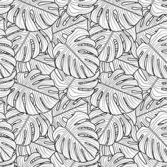 Seamless pattern on transparent background - monstera leaves.