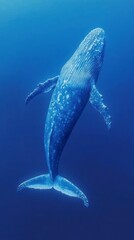 Naklejka premium A whale swims gracefully through the ocean depths