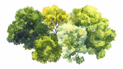 Vector tree top watercolor hand drawn view isolated on white background for landscape plan and architecture layout drawing, elements for environment and garden. Watercolor Landscape. Illustration