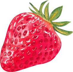 A single vibrant red strawberry, hand-drawn watercolor painting illustration