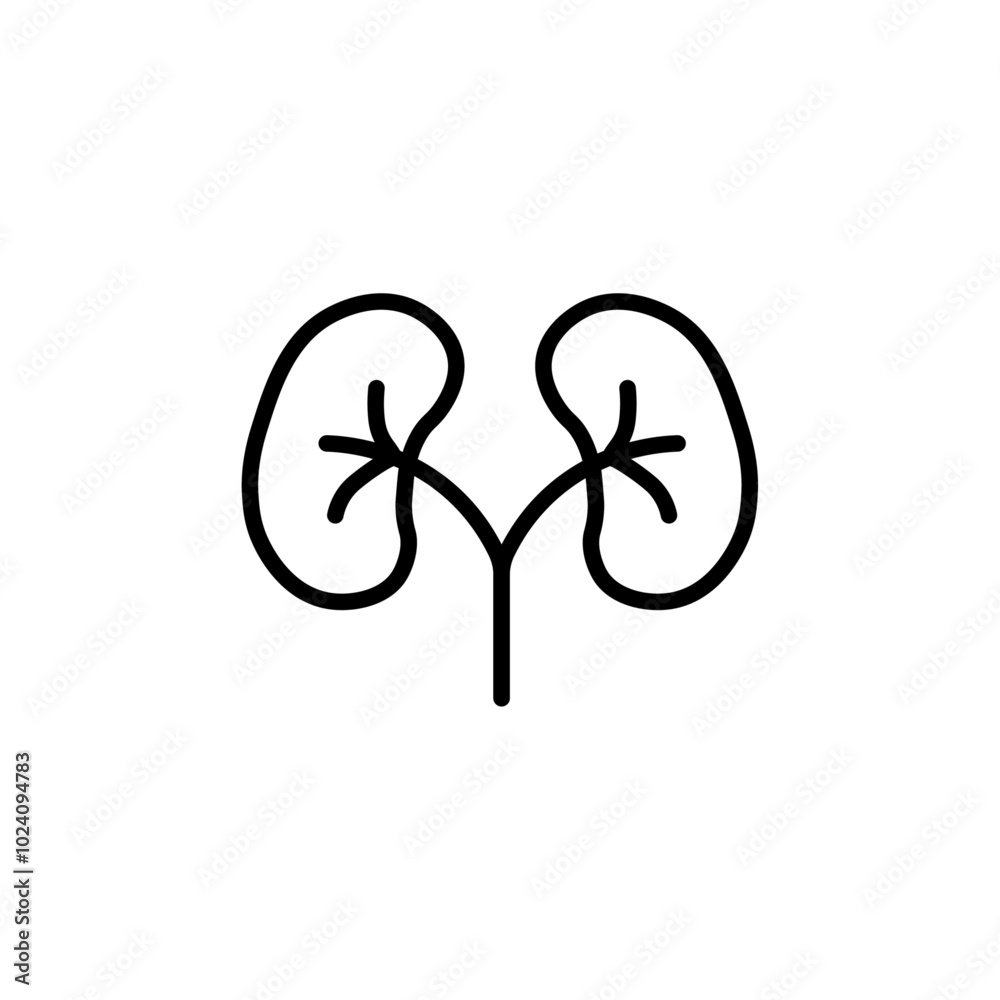 Poster Human kidneys icon Outline vector for web ui