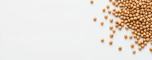 Dried soybean seeds scattered across white background create simple yet striking visual. natural color and texture of seeds evoke sense of organic beauty and agricultural abundance