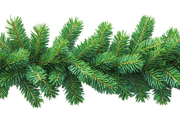 Obraz premium Close-up of Lush Pine Branches for Holiday Decor