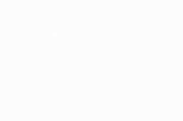 cement wall or white wall , white background or white wallpaper or beidge wall or white floor