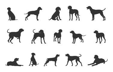 Weimaraner dog silhouette, Weimaraner dog svg, Weimaraner svg, Weimaraner silhouette, Weimaraner dog vector bundle.

