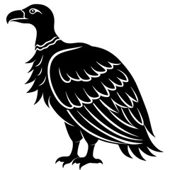 eagle isolated on white