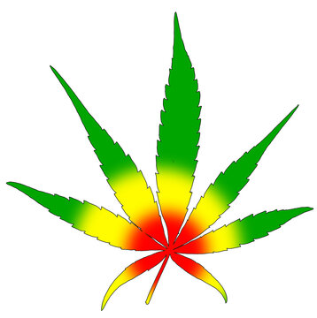 Cannabis 