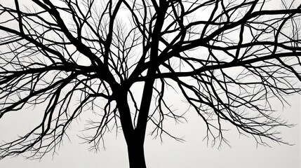 Generative AI, Minimalist Nature: The Simplicity of Form and Space