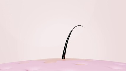 3d restore and nourish hair, scalp with shampoo, serum, treatment hair care. 3d render illustration, alpha channel