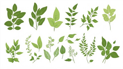 2410_076.botanical illustration of various green leaves, simple flat design, organic shapes, leaf silhouettes, nature elements, white background, minimalist botanical art, sage green, vector style,