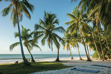Beachfront Yoga for All Ages: Engage in a family-friendly yoga session on the soft sands near swaying palm trees, practicing gentle stretches and mindfulness exercises while listen