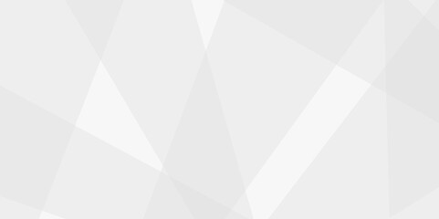 Abstract white and gray line background design. abstract white and grey on light silver background modern design. Low poly vector illustration. triangle pattern gradient background.