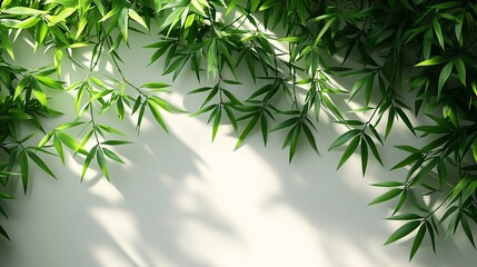 Obraz premium Lush green bamboo leaves cascade over a soft, light background, creating a serene and calming atmosphere.