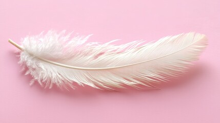 Obraz premium white feather lies gently on a soft pink background, creating a minimalist and serene image symbolizing lightness and purity.