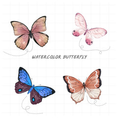Butterfly painted in watercolor on white background.