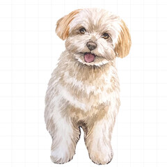 Dog painted in watercolor on white background
