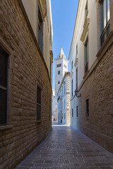 Italy, Puglia, Trani. Cathedral of San Nicola Pelligrino