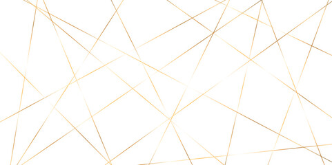 Abstract red and golden color line straight Vector in white background. geometric random chaotic line design with transparent background Vector Illustration.	