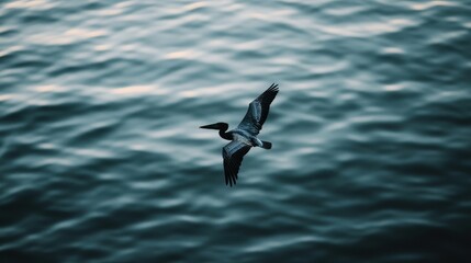 Fototapeta premium A bird in flight over water, showcasing grace and freedom.