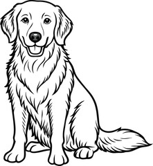 golden retriever dog