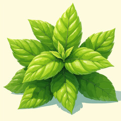 Green Leaf Illustration 
