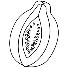 Vegetable papaya fruit outline vector illustration 