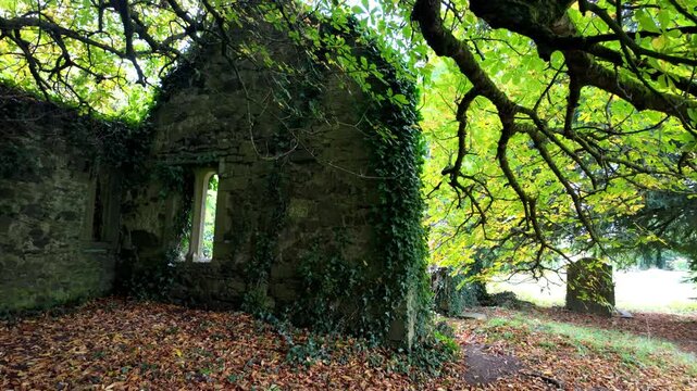 Haunted Ireland mystical land ghosts of the past ruins in Kildare in Autumn