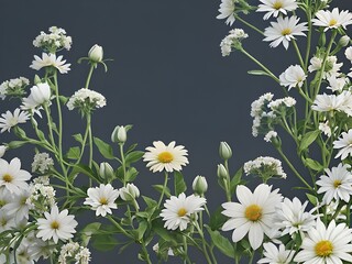 white daisies on blue grey background