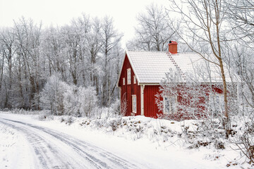 Red cottage by an icy road in a wintry forest
