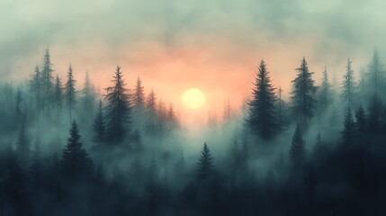 Naklejka premium A misty forest with tall trees and a sunrise peeking through the clouds.