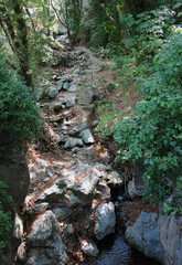The path of the centaurs (after Cyclone Daniel) Portaria Pelion Greece