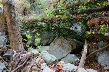 The path of the centaurs (after Cyclone Daniel) Portaria Pelion Greece