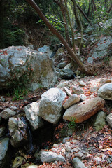 The path of the centaurs (after Cyclone Daniel) Portaria Pelion Greece